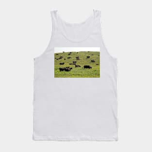 Cattle grazing on a sandy prairie (C026/7746) Tank Top